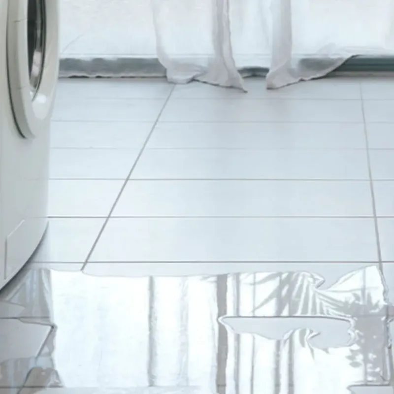 Appliance Leak Cleanup in Kalkaska County, MI
